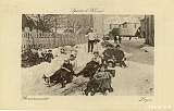Sports d'Hiver - Remiremont - Luges